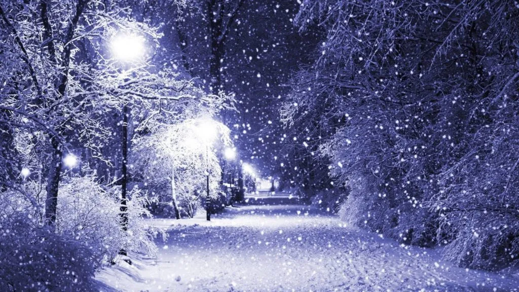 Add Realistic Snow to your website